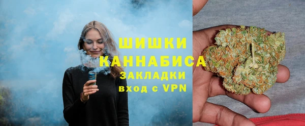 спиды Гусев