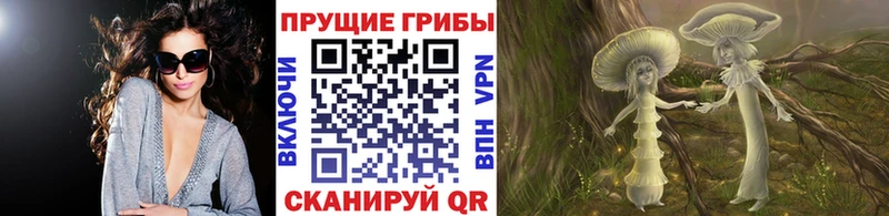 ссылка на мегу онион  Демидов  Псилоцибиновые грибы Cubensis 