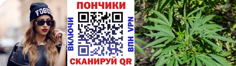 Бошки марихуана гибрид  купить   Демидов 